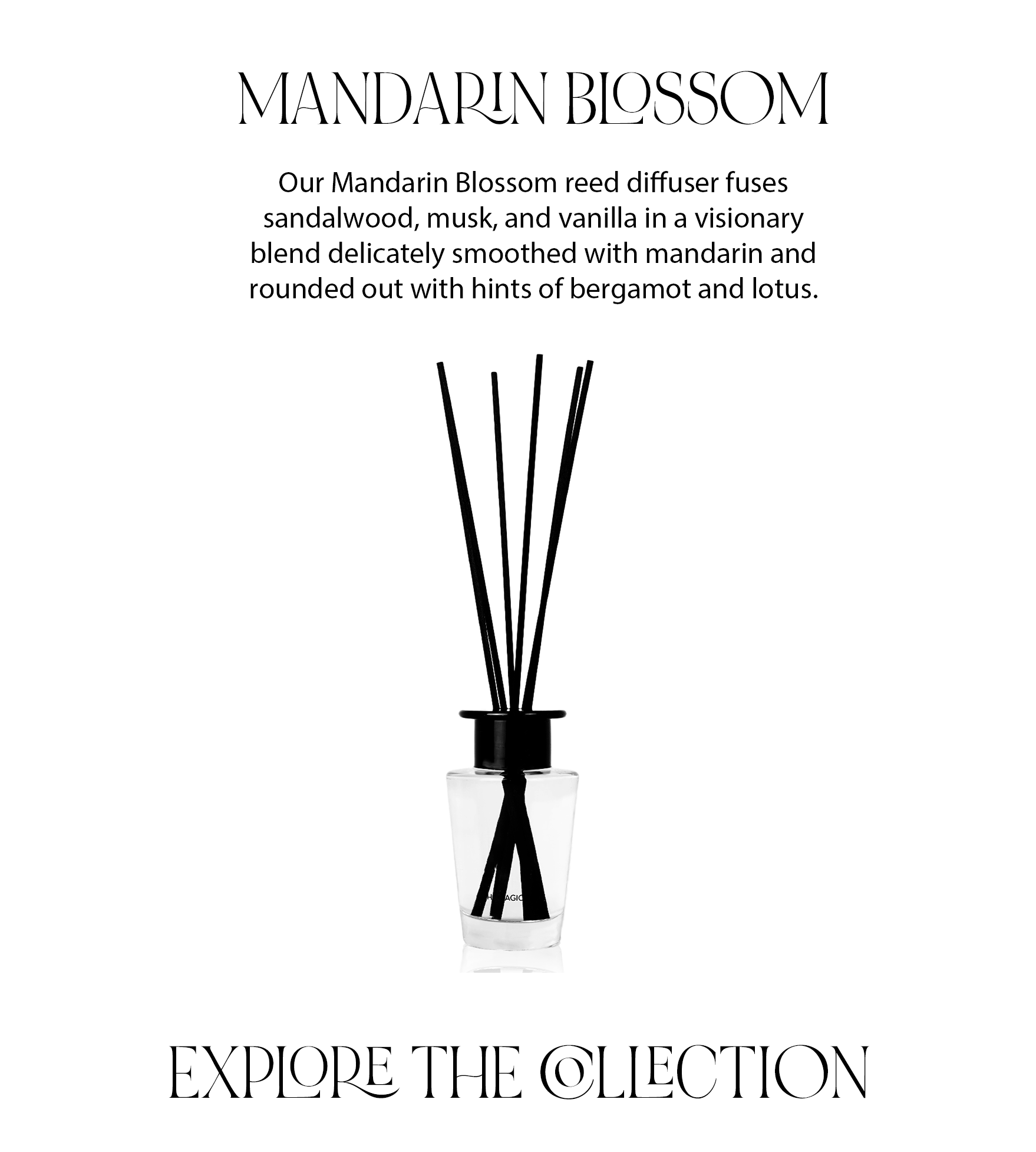 Our Christmas is still live! The Magic Scent